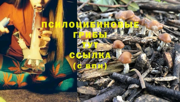 Альфа ПВП Заволжье