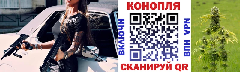 kraken зеркало  дарнет шоп  Мураши  Шишки марихуана сатива 